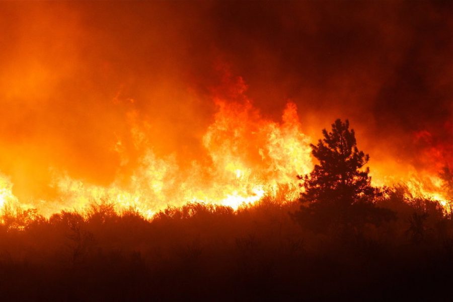 Multiple Wildfires Have Devastating Effects in California