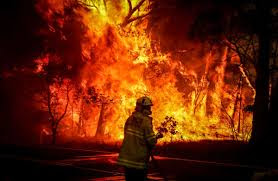 Australia Wildfires