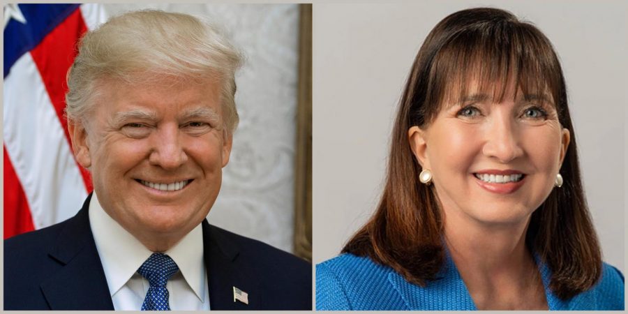 Presidential Candidate Outlook: Donald Trump (R) & Jo Jorgensen (L)
