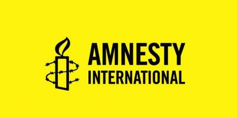 Amnesty International and Navalny