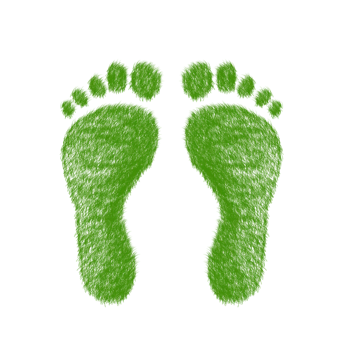 Reducing Your Ecological Footprint as a Teenager