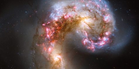 New Galaxies Propose Many Questions