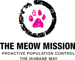 Image Credit - The Meow Mission