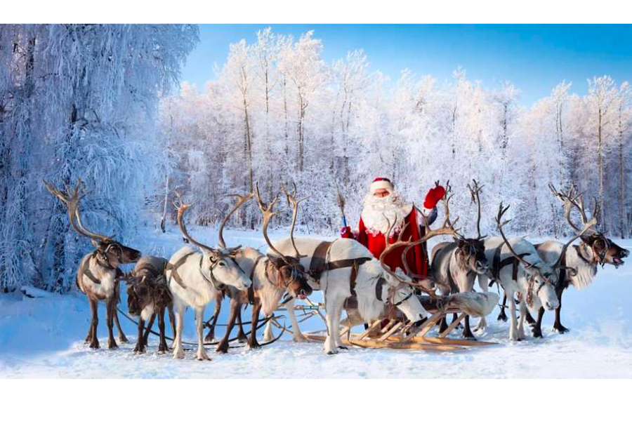 Credits: https://www.igluski.com/lapland-holidays/what-are-the-names-of-santas-reindeer