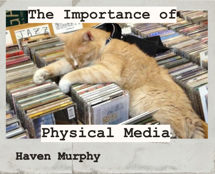 Credit: MIckey Roy the Record Store Cat https://www.lovemeow.com/mickey-roy-the-record-store-cat-1608401148.html