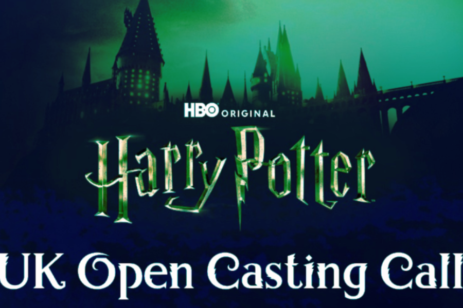 Harry Potter fan casting