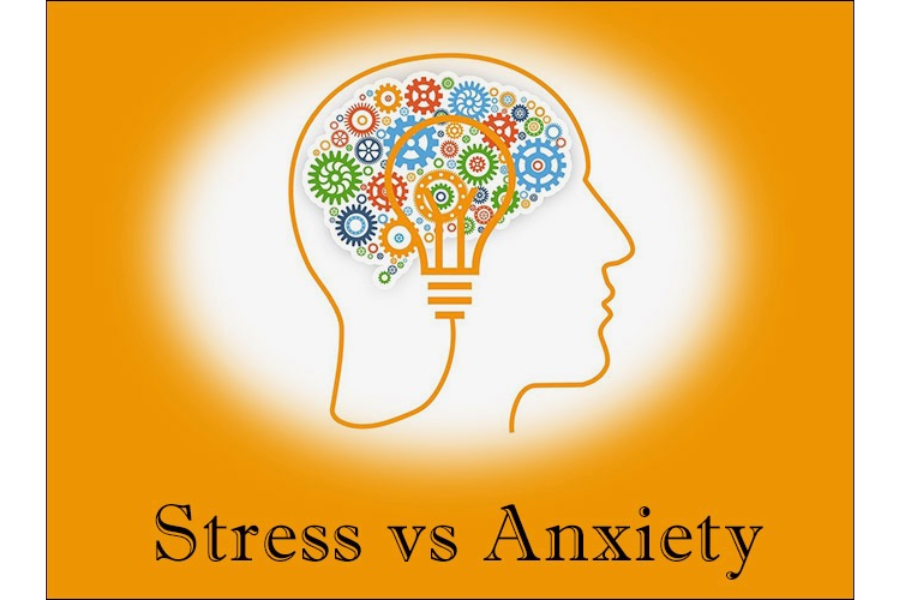 Photo Credits: https://www.ororecovery.com/stressed-out-what-is-stress-vs-anxiety-symptoms/