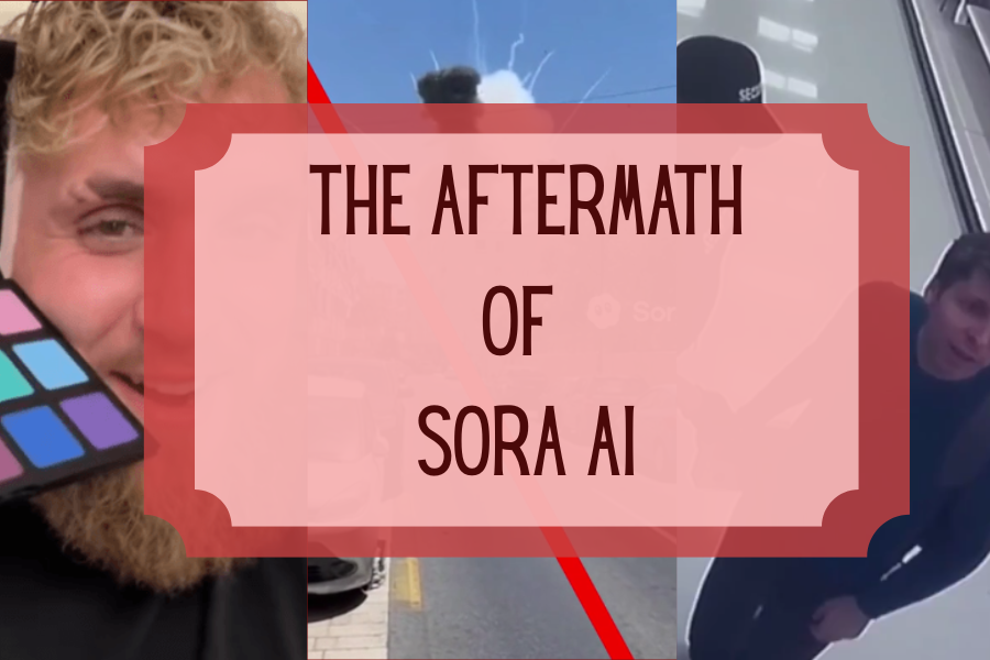 The Aftermath of Sora AI
