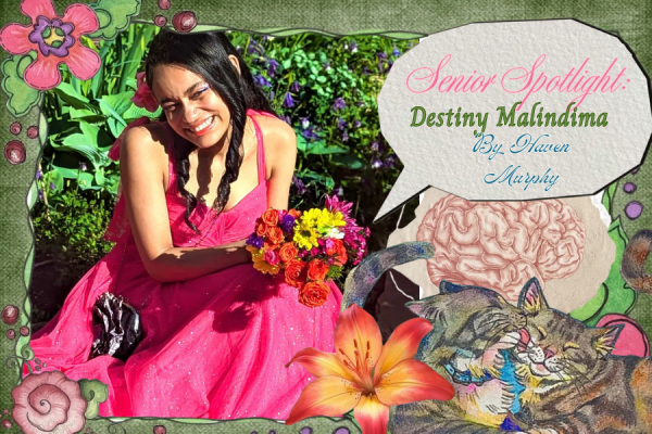 Credits: Floral border provided by Pinterest, Destiny Malindima (2025), Brain PNG provided by Pinterest, Cat drawing by Destiny Malindima.